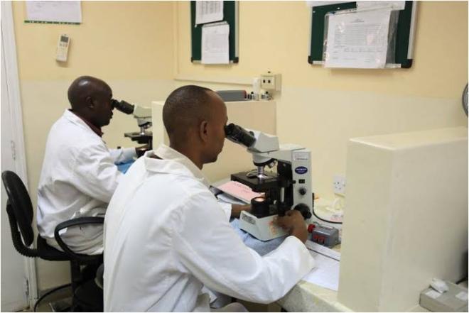 Malaria Researchers Test Vaccine