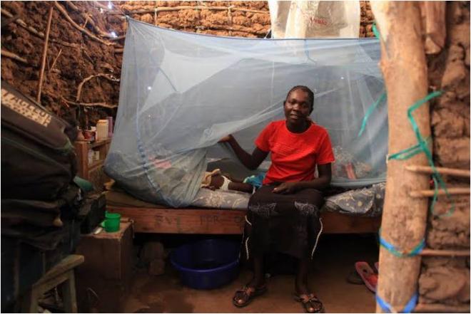 Malaria Researchers Test Vaccine