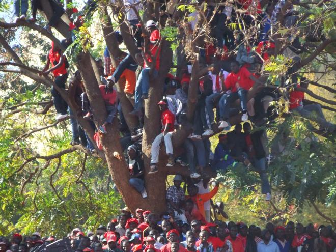 Zimbabweans Rally for Change
