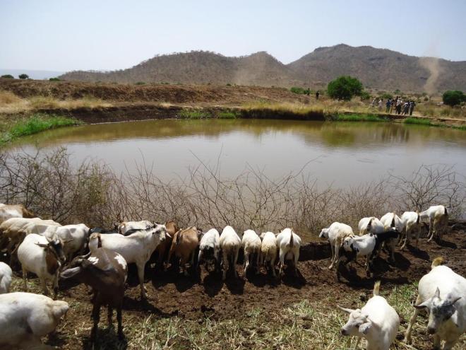 Oromia Pastoralists Honoured at Equator Prize